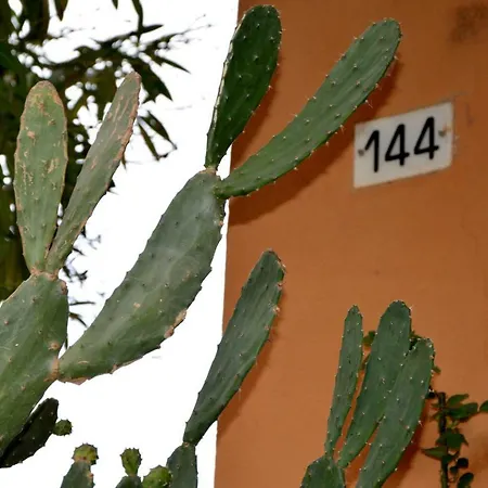 Ca Da Nalda アパート *